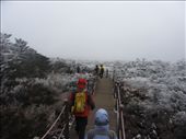 Now, the return trip down Hallasan mountain (한라산)!: by gnocchimandu, Views[401]