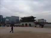 by gnocchimandu, Views[266]