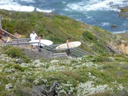 Surfing in the AUS.

Bells Beach