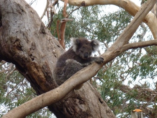 Falling asleep already.