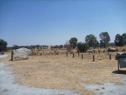 This is what most of the scenery looks like while driving in the southland. Dry bush territory.
