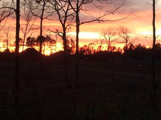 A winter sky along the Longview park trail