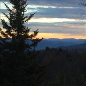 by gnome-san, Views[365]