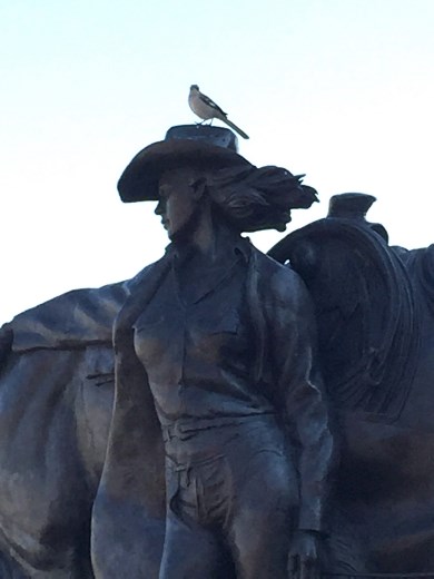 A mocker sings from the cowgirl's hat. 
