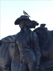 A mocker sings from the cowgirl's hat. : by gnome-san, Views[360]