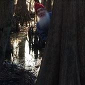 by gnome-san, Views[311]