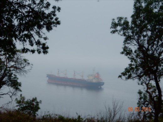 One of our few typical Seattle mornings as fog rolls in waves inland. 