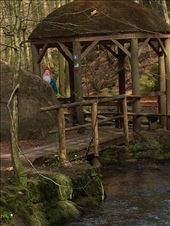 by gnome-san, Views[291]