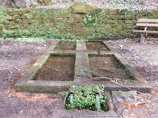 Kastelborn spring in Trippstadt