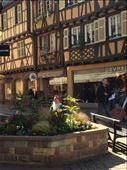 Colmar, FR: by gnome-san, Views[572]