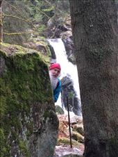 by gnome-san, Views[219]