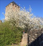 by gnome-san, Views[227]