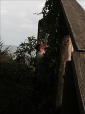 by gnome-san, Views[312]