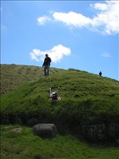 by goannasnake, Views[192]