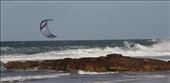 Ride like the wind: by goannasnake, Views[385]