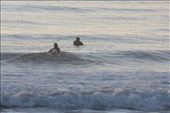 Early morning surfers: by goannasnake, Views[216]