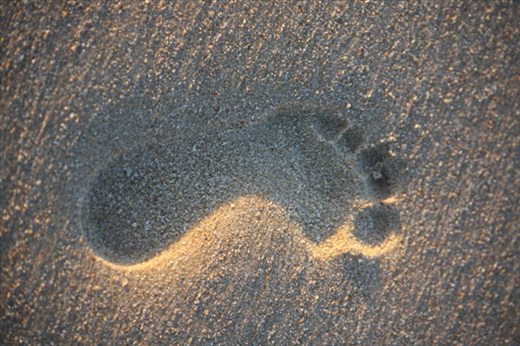 Leave only footprints