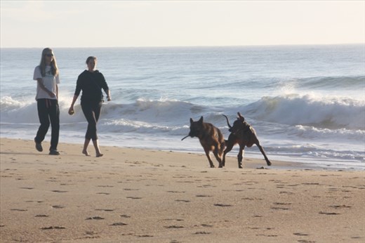 Give it to me, give it to me ...