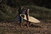 Pick a wave, any wave: by goannasnake, Views[333]