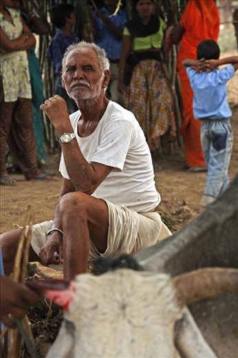 The owner keep an eye on his cow during treatment. Unfortunately many people are poor. That's why their animals get treatment only when it's free.