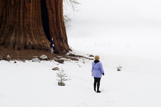 Thousands of visitors go everyday to the Sequoia National Park in California. Many of them try to escape from stress and routine, searching for an intimate connection with nature, as these women experience under one of the world’s largest trees.



