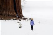 Thousands of visitors go everyday to the Sequoia National Park in California. Many of them try to escape from stress and routine, searching for an intimate connection with nature, as these women experience under one of the world’s largest trees.


: by gonzalocolladosolar, Views[291]