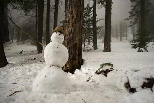 Human creativity gave birth to this guardian of the sequoia forests. The snowman is a universal symbol easy to find all over the world, telling us about our shared conscience and sensitiveness.

