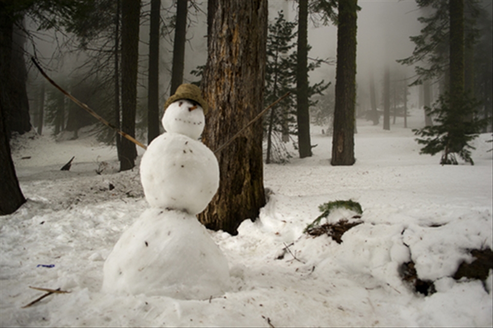 Human creativity gave birth to this guardian of the sequoia forests. The snowman is a universal symbol easy to find all over the world, telling us about our shared conscience and sensitiveness.

