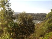 by goodbyepose, Views[127]