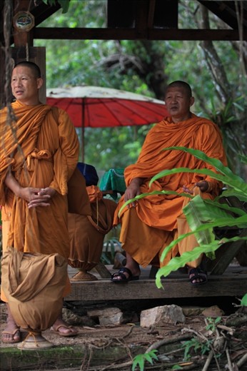 Monks wait near hin lat waterfall, silently and patiently under shelter for transport to take them to Chaweng,koh samui.