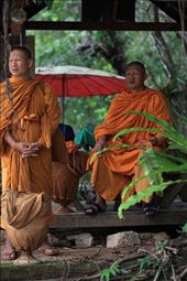 Monks wait near hin lat waterfall, silently and patiently under shelter for transport to take them to Chaweng,koh samui.: by goodtrojan, Views[335]
