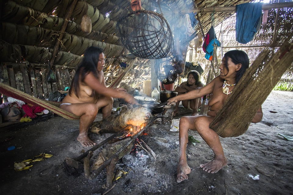 Hunting and collecting is they survival tactics.