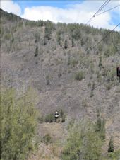 by gotrice0419, Views[117]