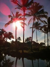 by gotrice0419, Views[166]