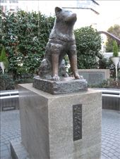 by gotrice0419, Views[139]