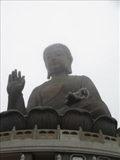 by gotrice0419, Views[159]