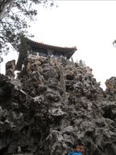 by gotrice0419, Views[150]