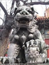 by gotrice0419, Views[372]