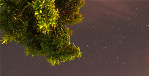 11 mindnight  as  I sit under the mango tree. i notice how beautiful the sky is.. Cavite Philippines