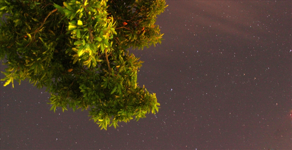 11 mindnight  as  I sit under the mango tree. i notice how beautiful the sky is.. Cavite Philippines