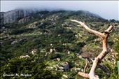 Landscape view of the Skandagiri Mountain in a misty morning: by gouravmahendramishra, Views[164]