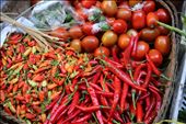 Chilies of all glorious varieties from Penang Wet Market: by gourmetearth, Views[323]