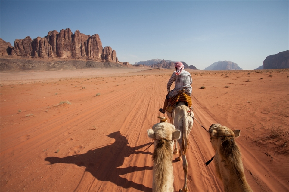 Bedouin are desert-dwelling Arabian ethnic group in Jordan. Since long time ago, they travel around the desert and engaged in nomadic herding and agriculture. The partnership between Bedouin and camels has never been stopped: From being the only mean of transport in the past, to offer an exotic ride to the tourist today, Camel pays a critical role in the living and culture of Bedouin.