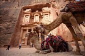 Petra must be the other gift that god give to Bedouin, after Camel. Since Petra was listed as the Petra must be the other gift that god give to Bedouin, after Camel. Since Petra was listed as the