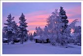 Dark winter days in Lapland where the sun never comes above the horizon!: by gowtham, Views[1464]