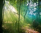 Planning the route.: by grabercj, Views[248]