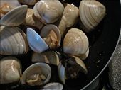 Vongole (clams) in the pan: by gracienne, Views[452]