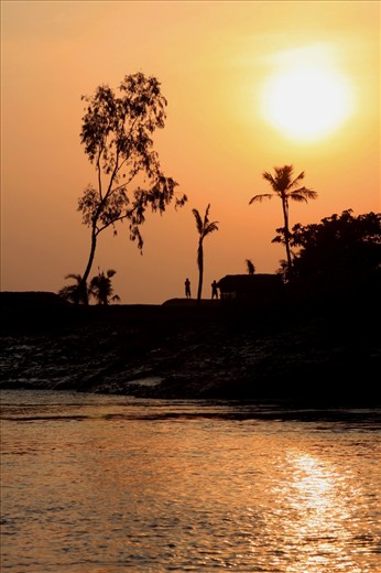 Despite the increasing influence of technology and urban culture on the Sundarban communities, families still retain a relatively simple lifestyle and a strong sense of community. Here, a group of men continue to work together as the sun sinks, collecting palm fronds  for the thatching of one of their homesteads.  