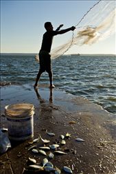 A young fisherman casts his net made of intertwined fishing line and rope.: by grainfedphoto, Views[773]