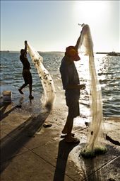 All of the fish caught are sold on site to local restaurants and fishmongers.: by grainfedphoto, Views[690]